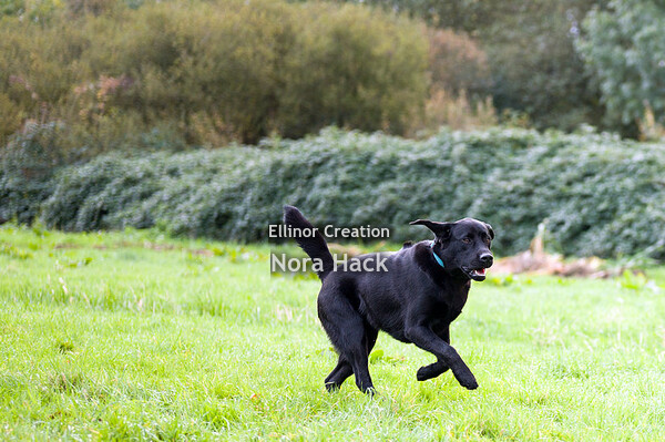 Zondag 27 oktober 2019