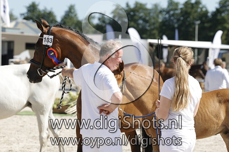 Take a change on me H v. My Blue Hors Santiano