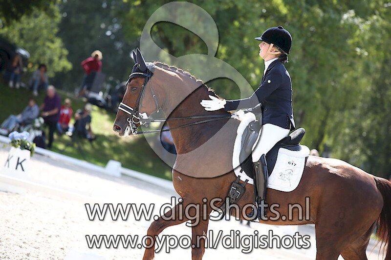 Z2 paarden dressuur Ring 2