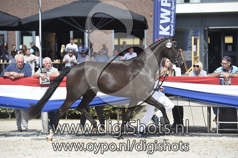 Kenia ES D v. De Niro