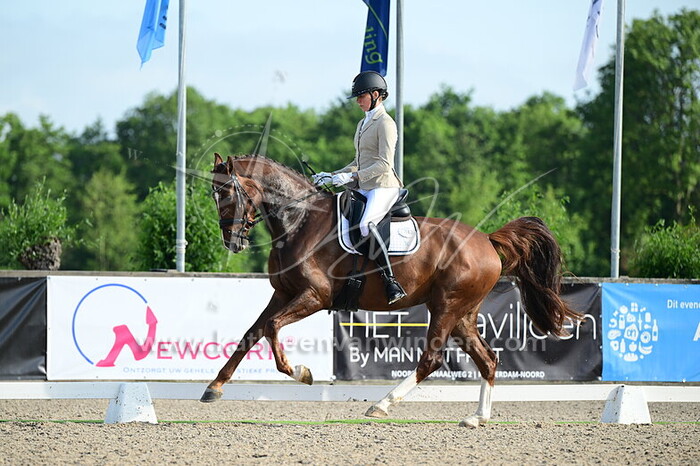 Marije de Lange - Rosesion