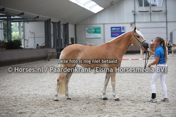 57 Astoria van Neauvoorde (Walzertraum x Allena)