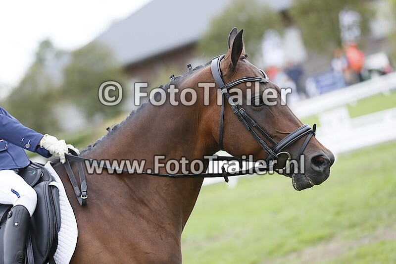 Starts zonder nummer