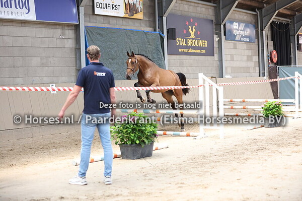 6 Sarafieni Number One (Mattias x Elieni v. Numero Uno)