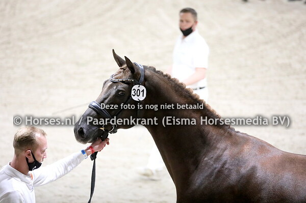 04-02-2022 KWPN HK 2e bez en primering