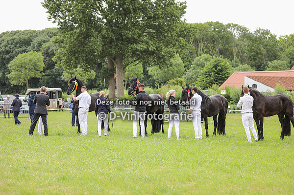 Rubriek 6B premiekeuring 3 jarigen