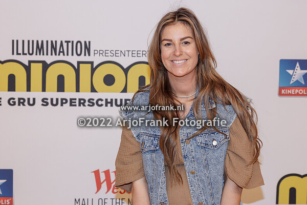 Minions The Rise Of Gru