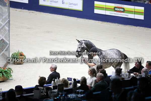02-02-24 HK KWPN vrijdag keuring dressuurhengsten
