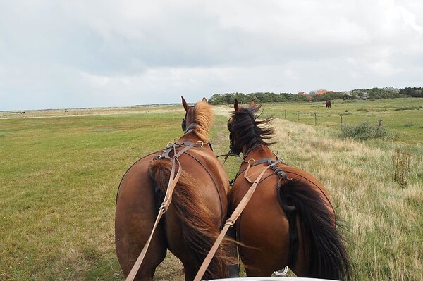 20190902 - Summercamp Ameland