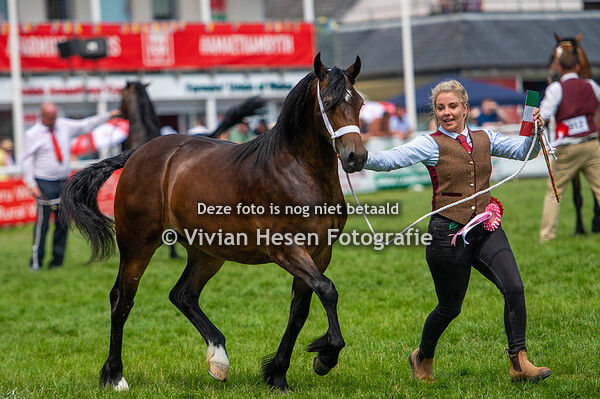 Section D (from several classes)