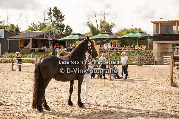 85. Geake fan oan it spoarwei