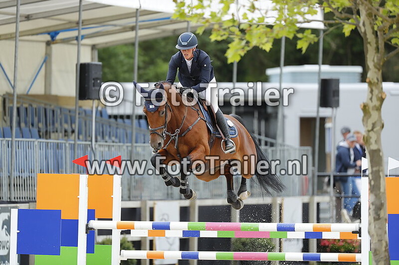 mareille van geel schroder