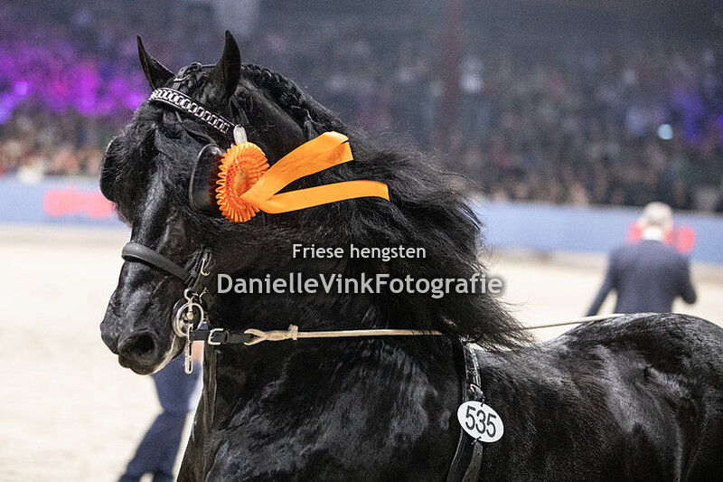 Hengstenkeuring 2024 Jeroen 535