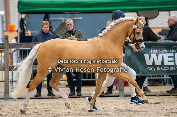 1e bezichtiging WPBR