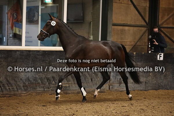 52 Mislunora v Expression