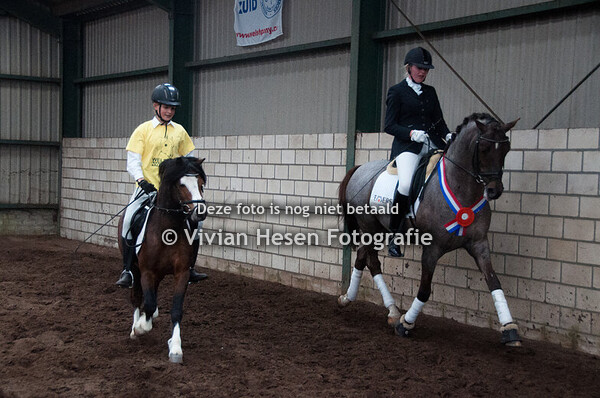 Hengstenshow Afdeling Zuid