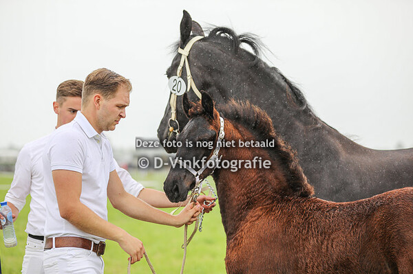 20. Vaya van "Ons Plekje"