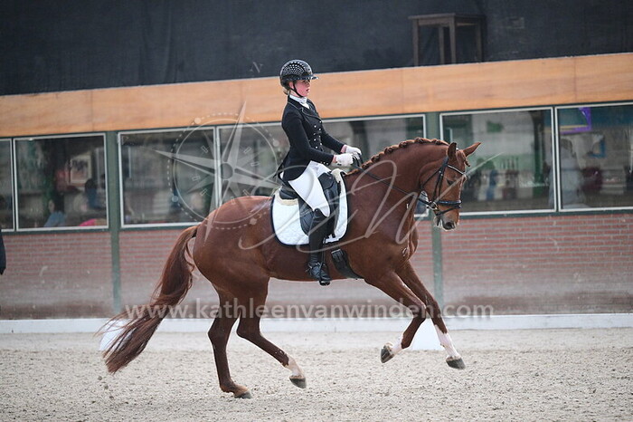 Noor Brokx - Rosie VR