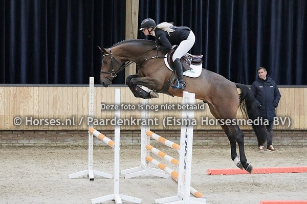 29-11-21 Zadelpresentatie Springhengsten