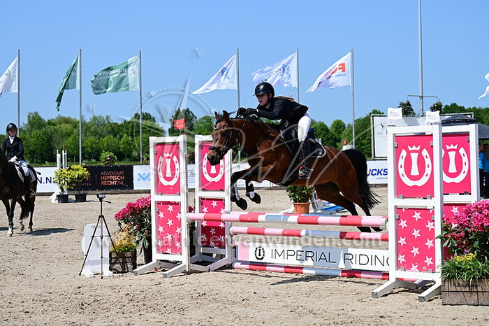 Anouska den Haan - Cobeyn's Kenzo