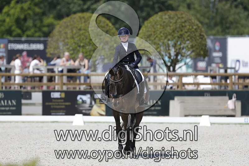 Erpedo vd Performing Stables