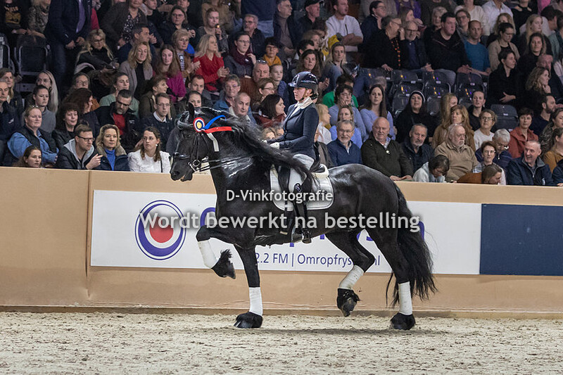 Hengstenkeuring 2023 OHZ Lieke Lueks Rommert 498