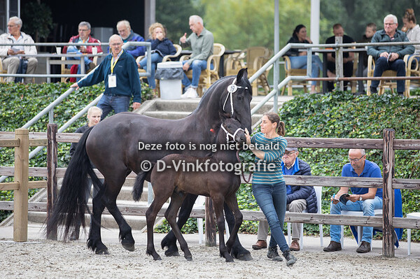 19. Prins van Stal Herven