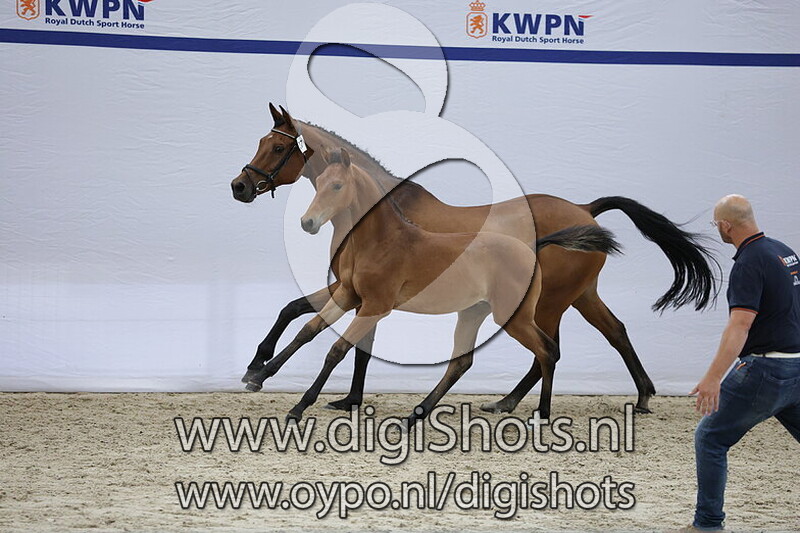 Varanna v. Carrera VDL