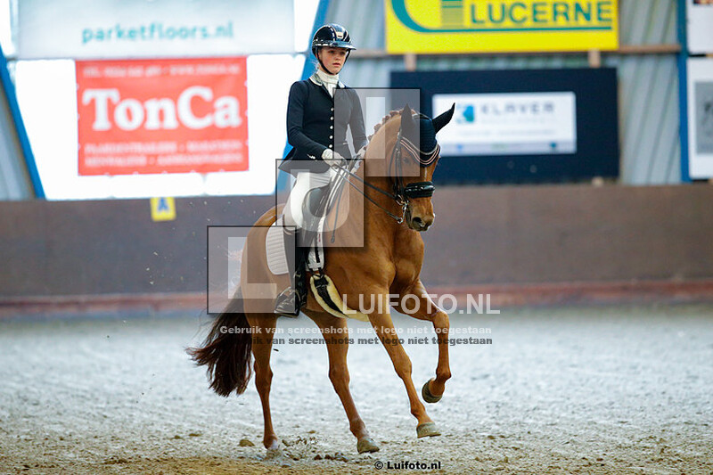 Indoor Paarden Dressuur NH
