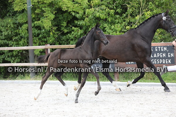 26 Santa Martina de Nordiek