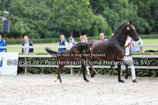 69 Oarisma v In Style