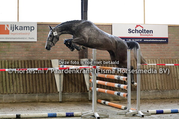 19-06-2021 Stamboekkeuring KWPN Luttenberg