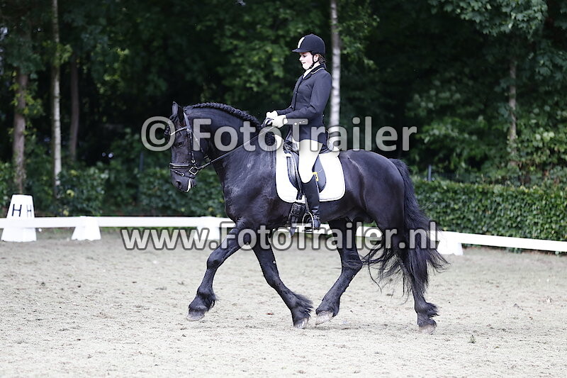 Nummer niet zichtbaar fries