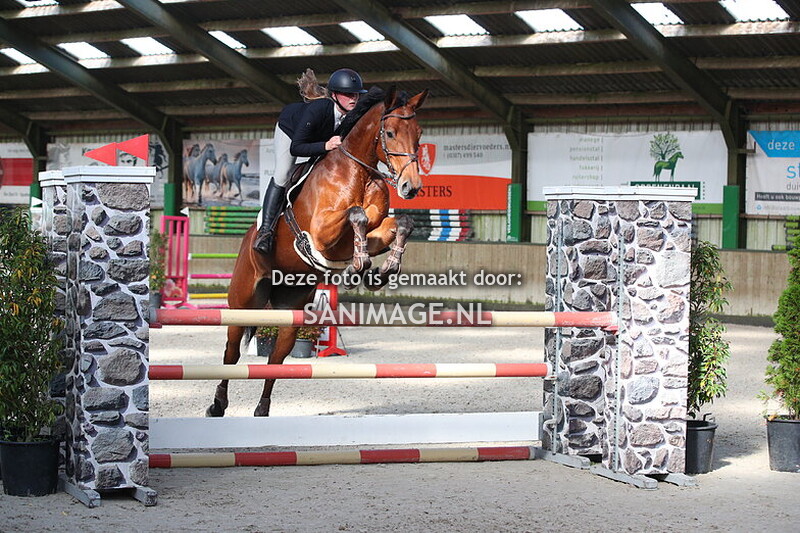 Stal Groenendaal 15-10-2024 Springen Paarden 110 cm