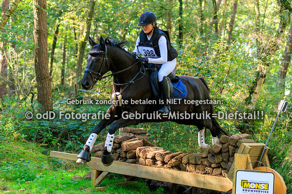 SGW Ysselsteyn Pony B Paard BB Lang 06-10-24