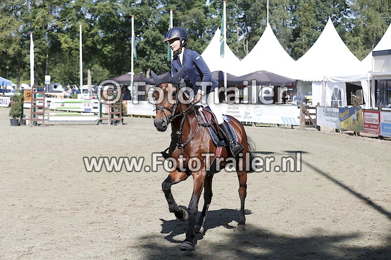 Rubriek 83 Klasse M Cat. D