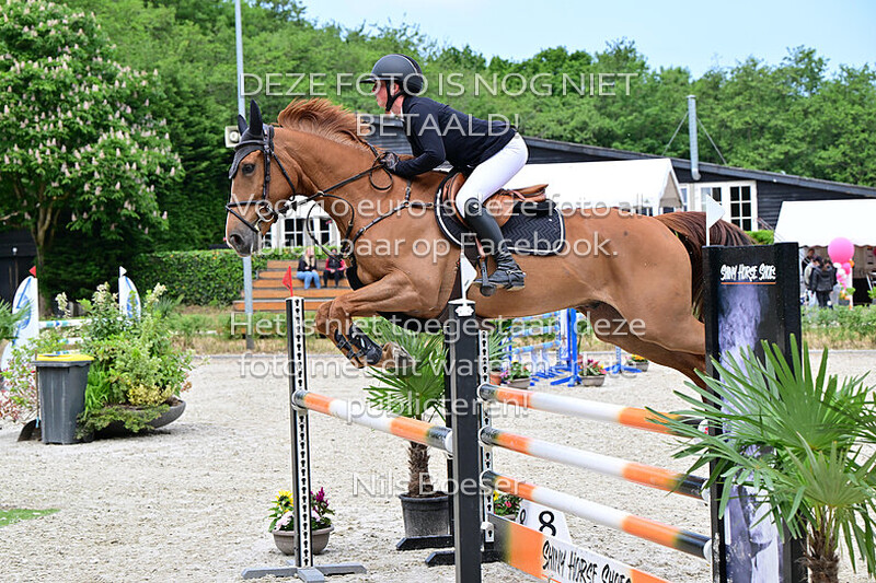 20 Klassiek paarden 1.10 m MB