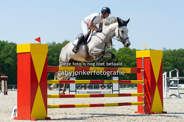 Concours Hippique Sneek 11-06-23