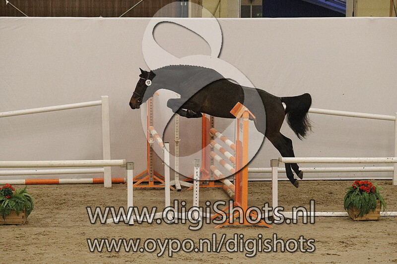 072 Libero v. Dallas VDL