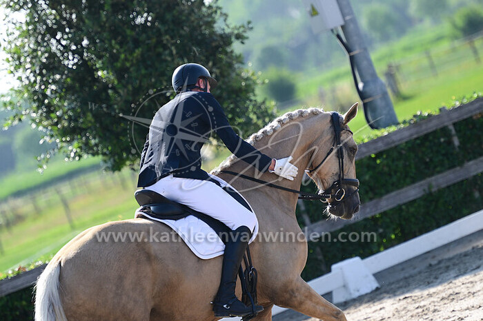 Rick Nicolai - Nedafia