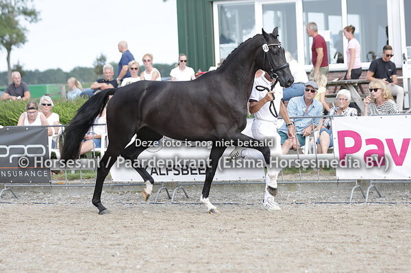 43 Orite B (For Romance x Ilserite v. Zonik)