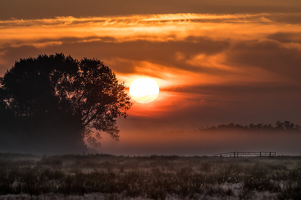 Omgeving Grou in Friesland