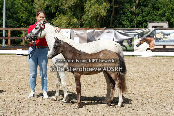 9. BRP VEULENS KLEINE MAAT