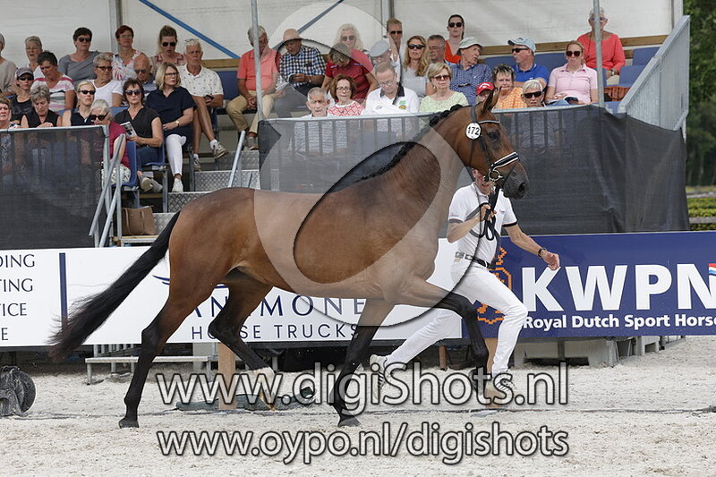 Princess of Pomona v. Revolution