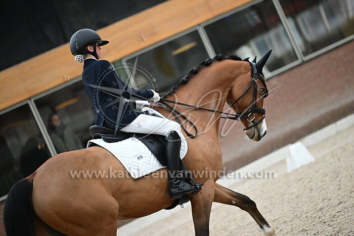 Bo van Druten - Grand Beau