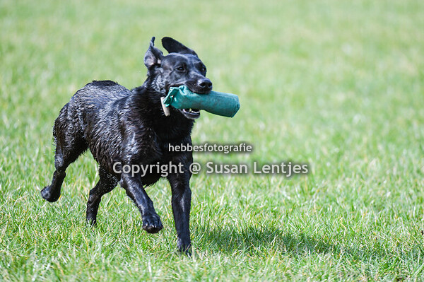 OWT Bilthoven 22 maart 2025 Open 