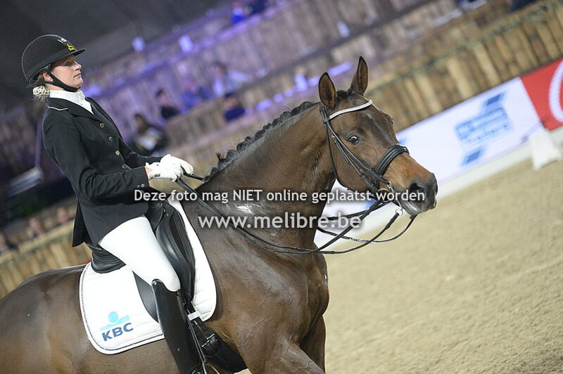JM18 -VRIJ- KBC Gouden Teugel ZZ