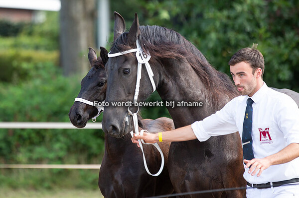 16.Maikel van de Kleine Koppel