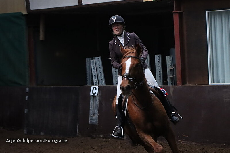 CH Nieuwe Pekela 12-11-2022 Prijsuitreiking 100cm