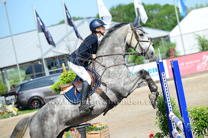 Nanne van den Boom - Polion K Dee